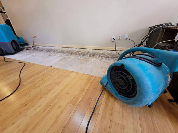 Professional Basement Flood Cleanup technician working in Hackensack, NJ